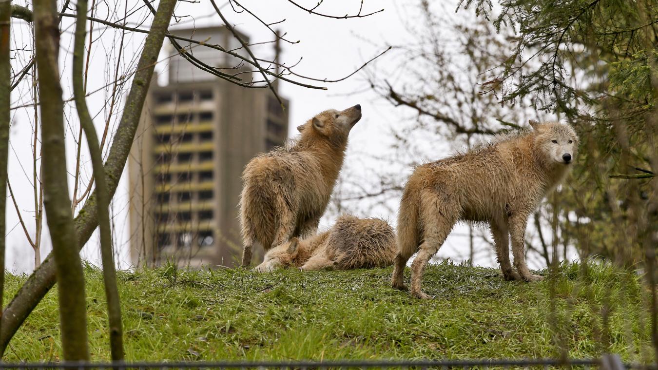 Zoo de Maubeuge