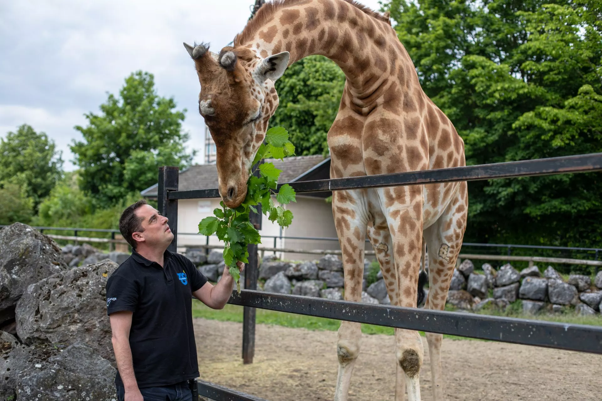 Zoo de Maubeuge