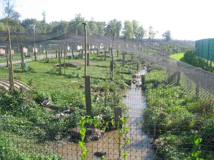 Parc animalier du Marais