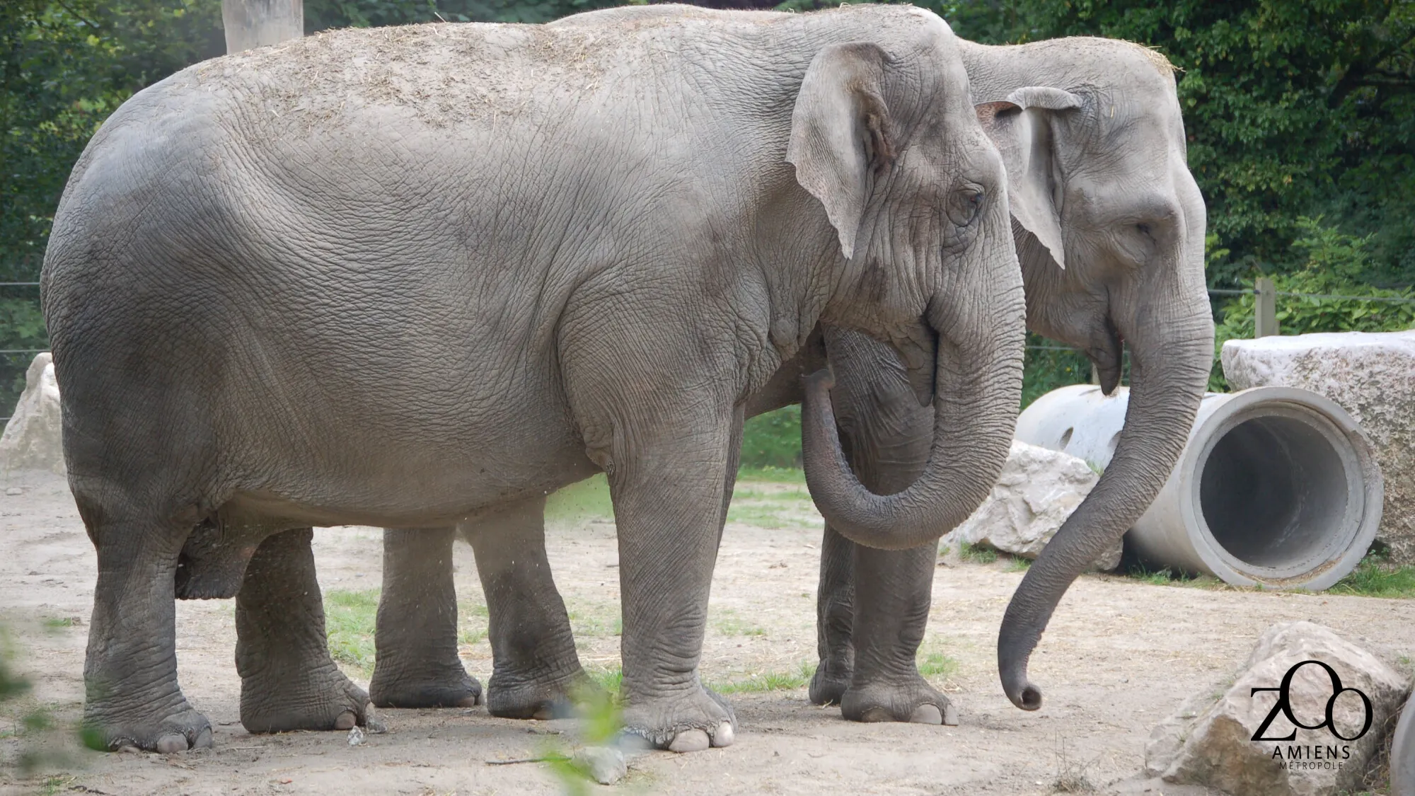 Zoo d'Amiens