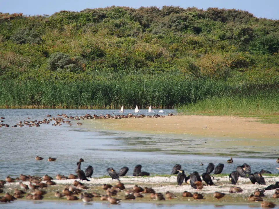 Parc du Marquenterre