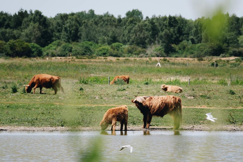 Parc du Marquenterre