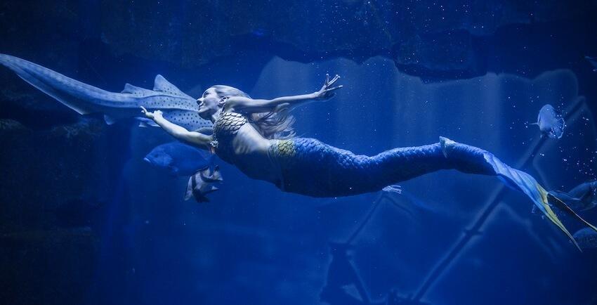 Aquarium de Paris - Cinéaqua - aquarium du Trocadéro