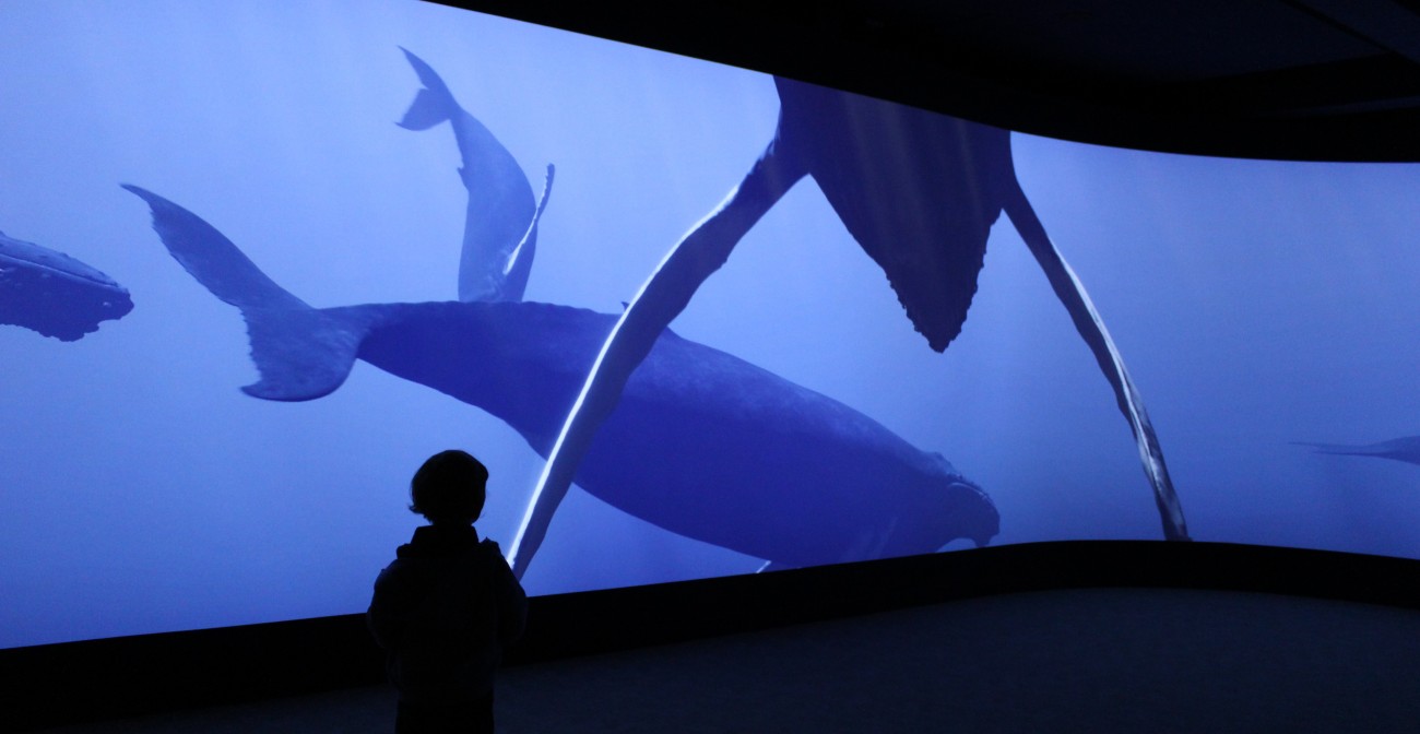 Aquarium du palais de la Porte-Dorée