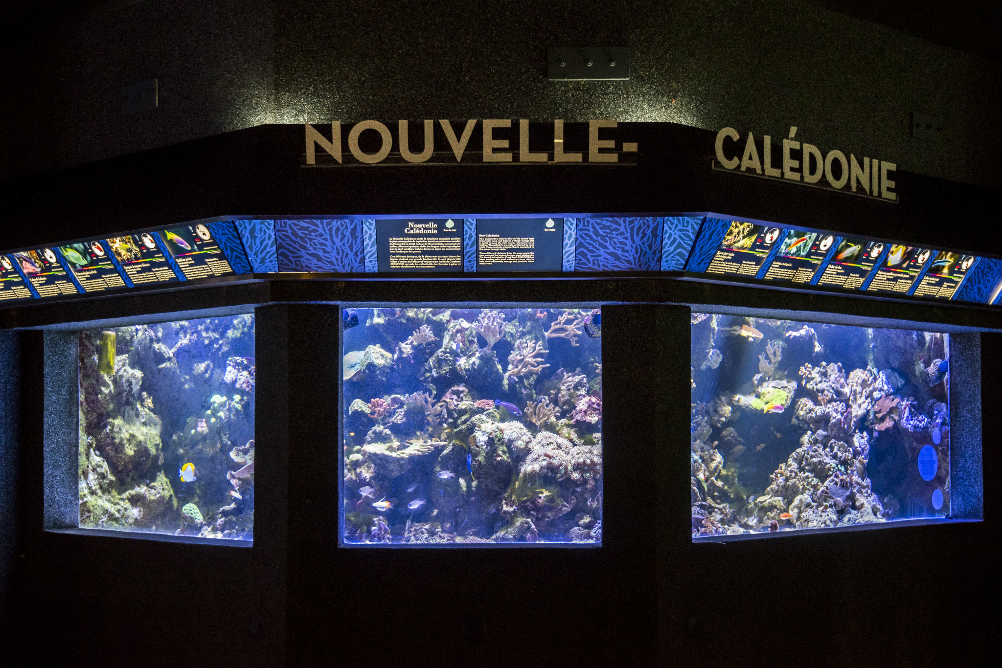 Aquarium du palais de la Porte-Dorée