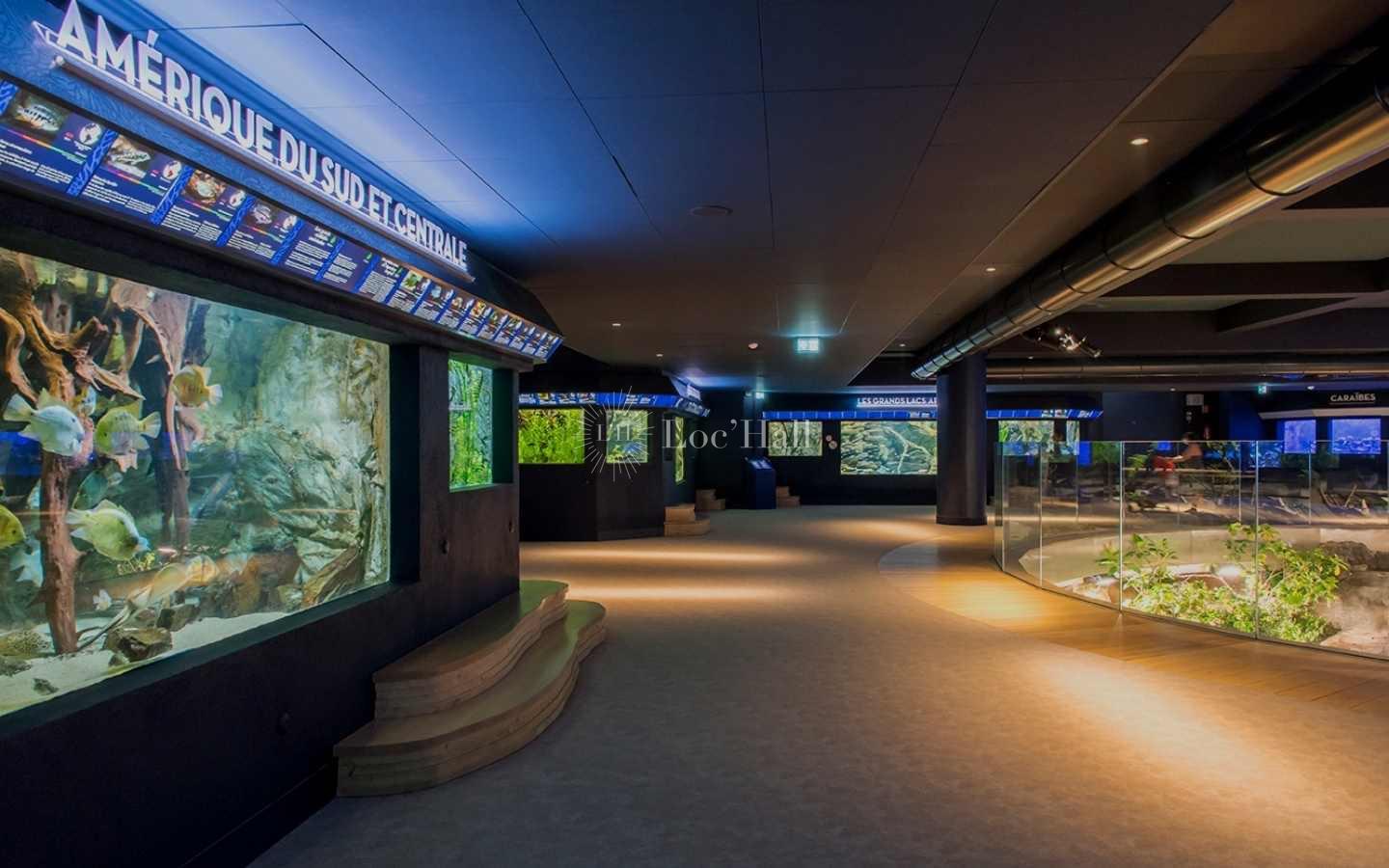 Aquarium du palais de la Porte-Dorée
