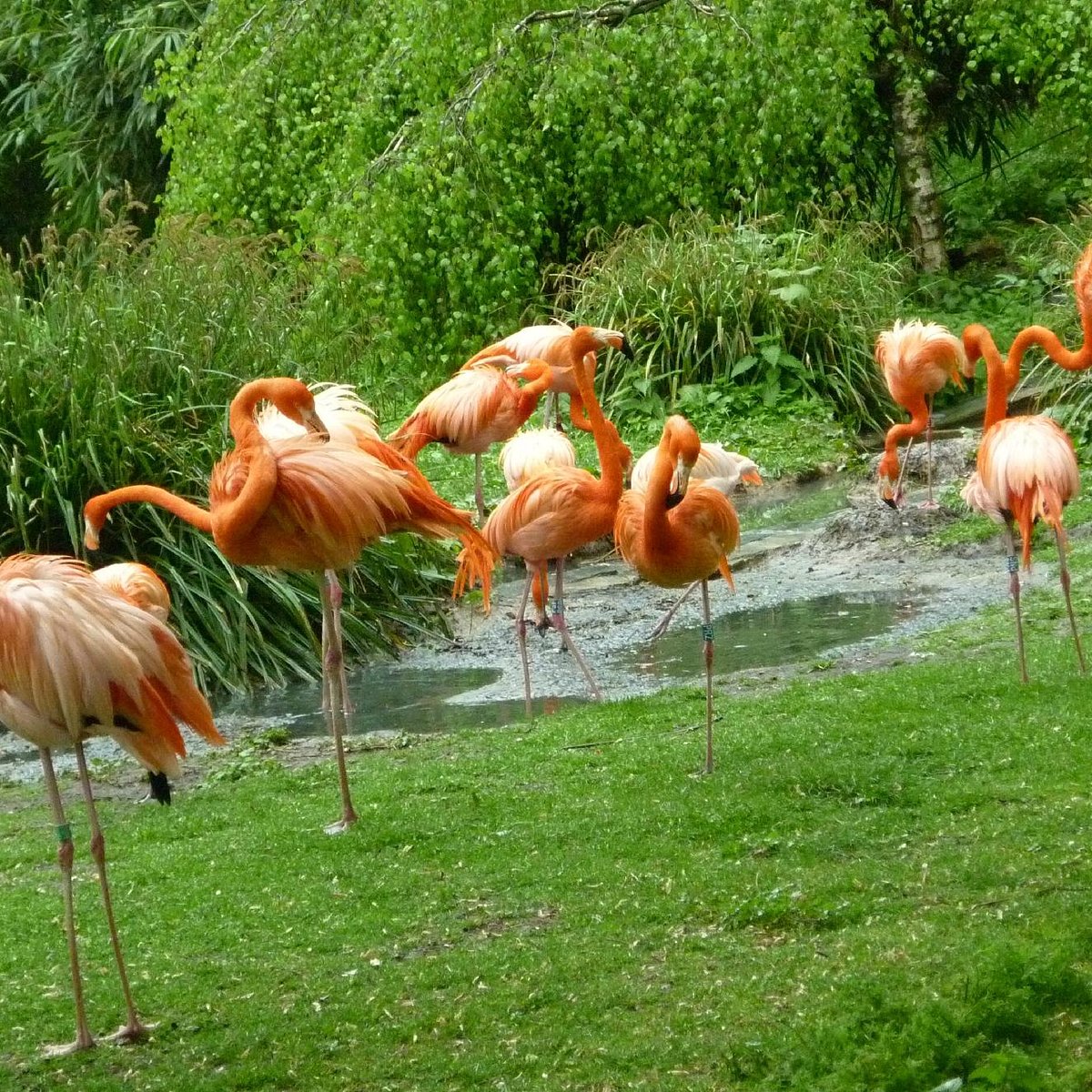 Ménagerie du Jardin des plantes
