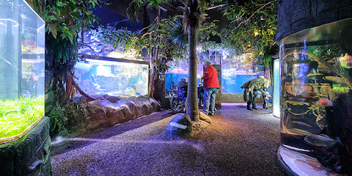 Sea Life Paris Val d'Europe