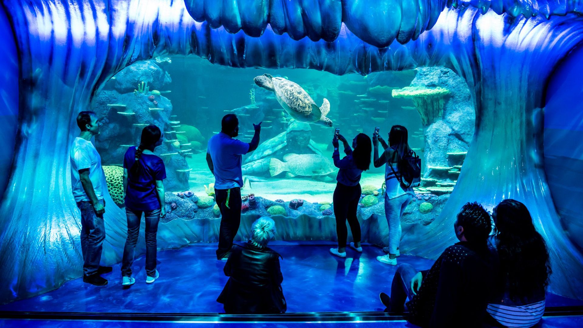 Sea Life Paris Val d'Europe