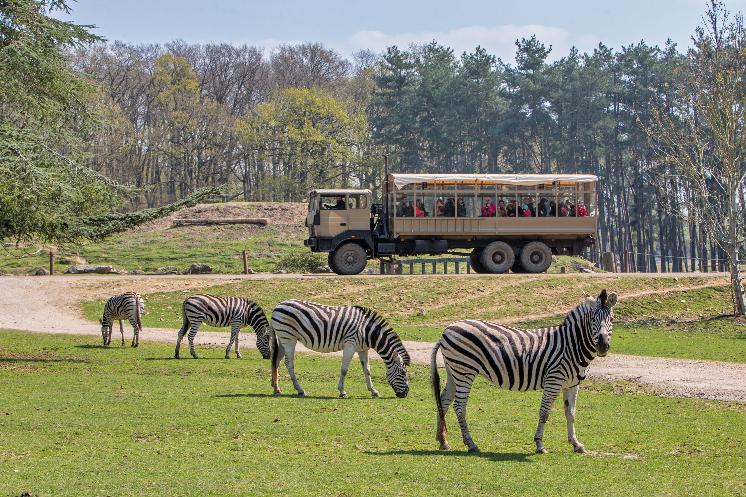 Wow Safari Thoiry