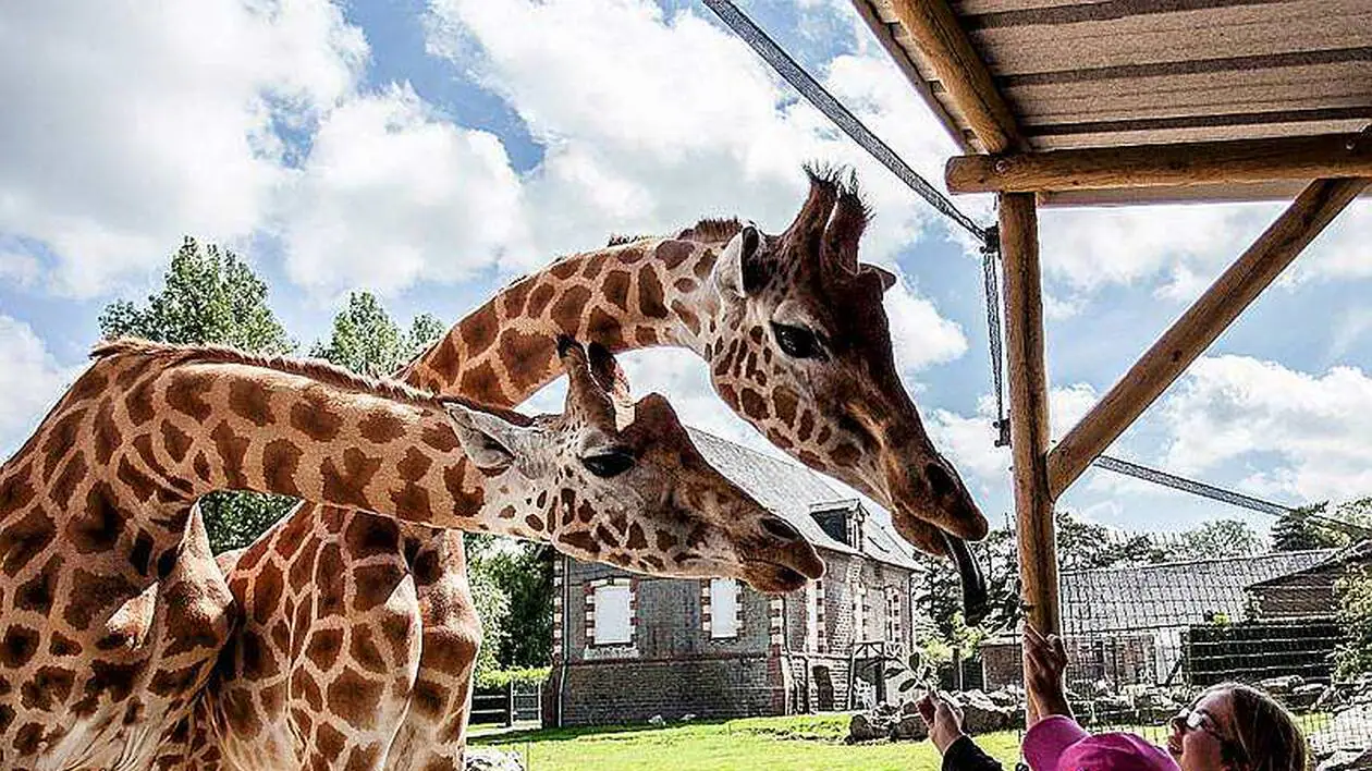 Parc zoologique de Jurques