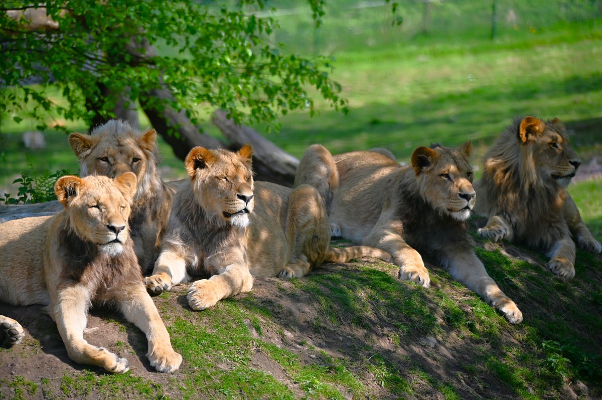 Parc zoologique de Jurques