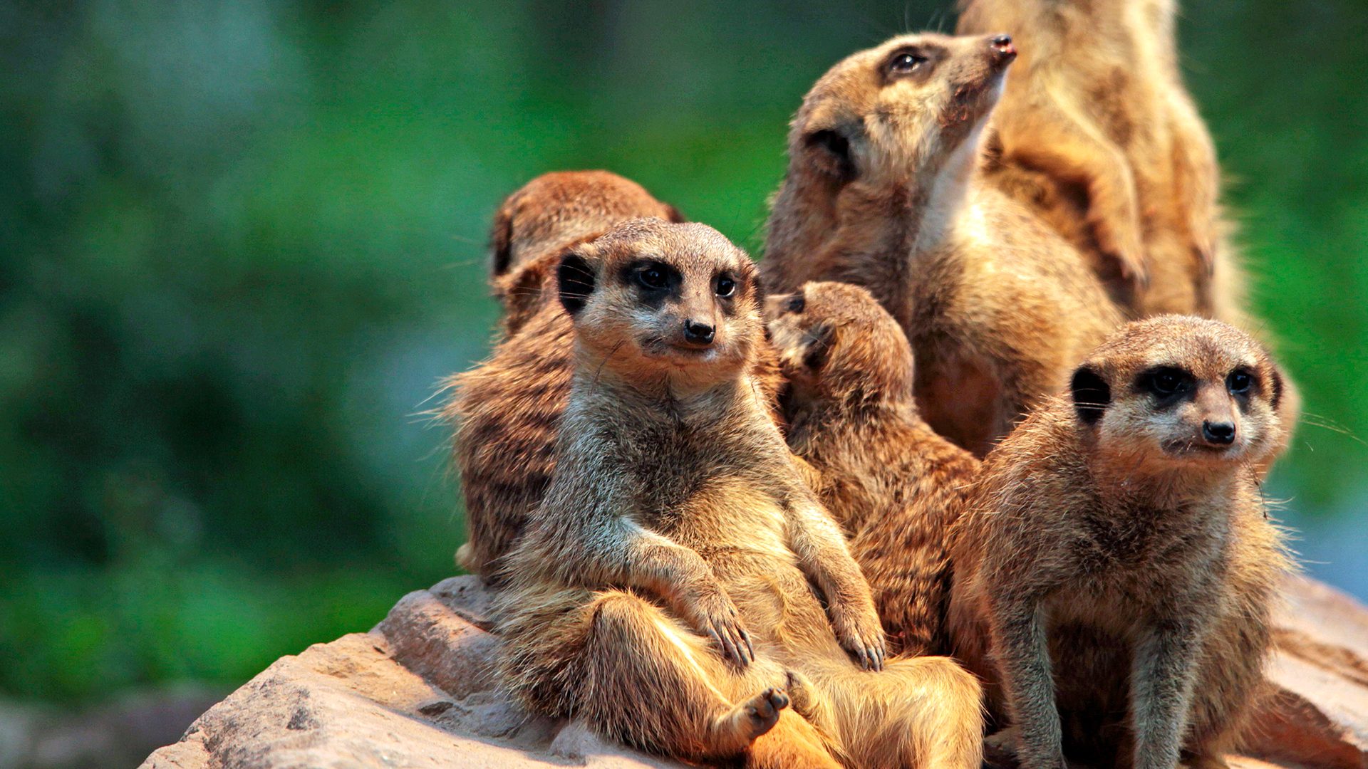 Parc zoologique de Jurques