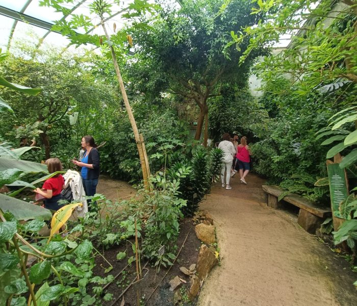 Naturospace