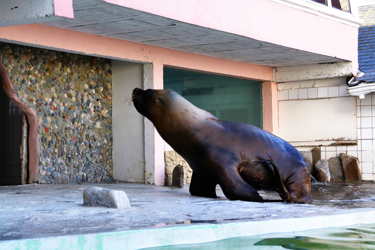 Le roc des curiosités