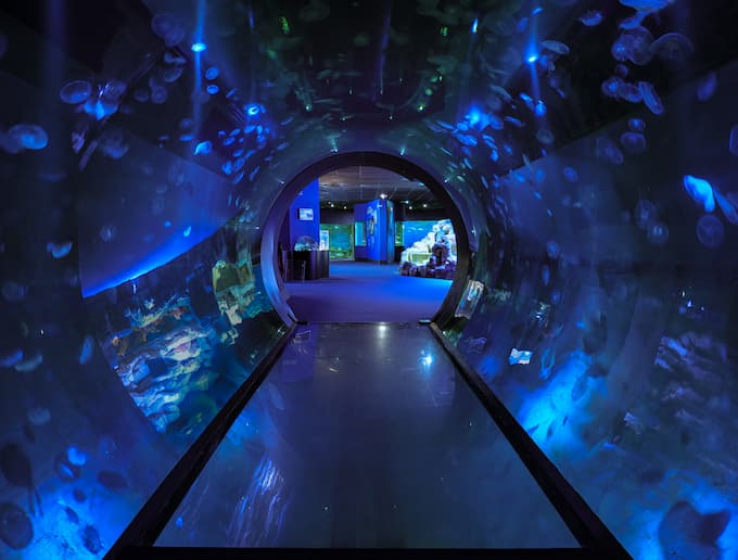 Aquarium La Rochelle