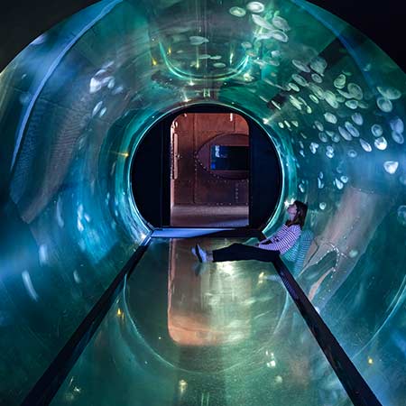 Aquarium La Rochelle