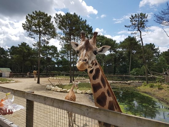 Zoo du Bassin d'Arcachon