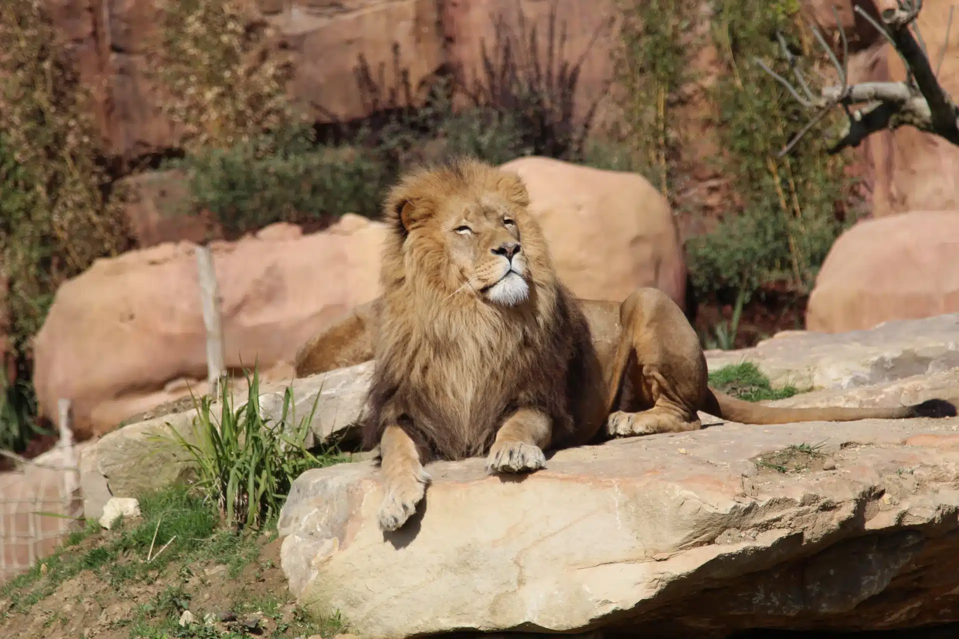 Zoo de Bordeaux Pessac