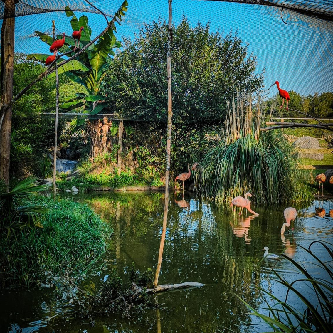 Exotic Park