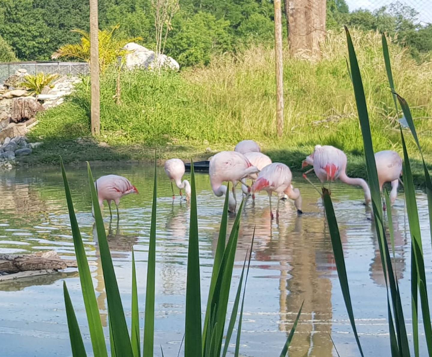 Exotic Park