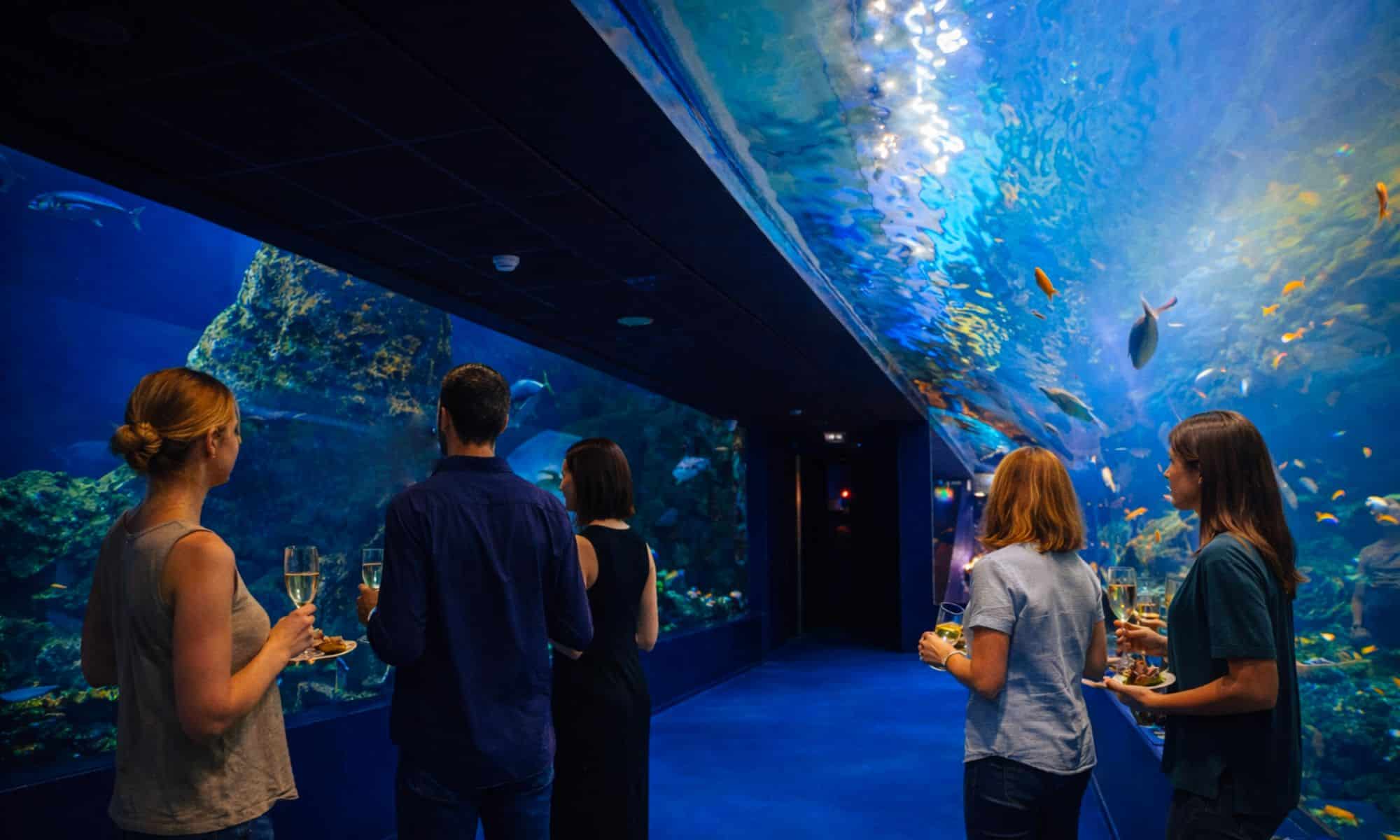 Aquarium de Biarritz