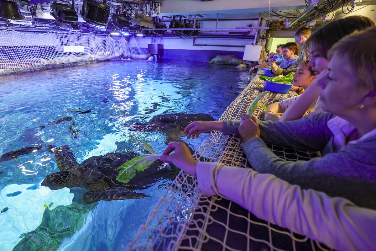 Aquarium de Biarritz