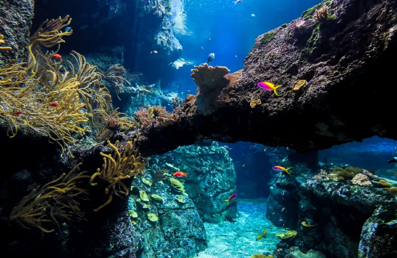 Aquarium de Biarritz