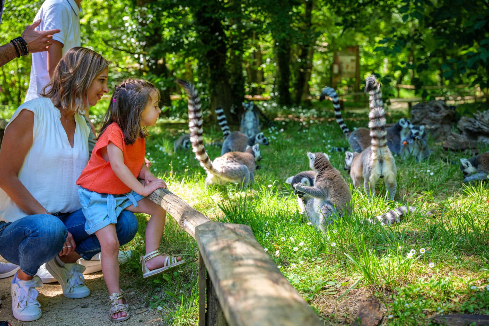 Vallée des singes