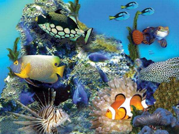 Aquarium du Limousin