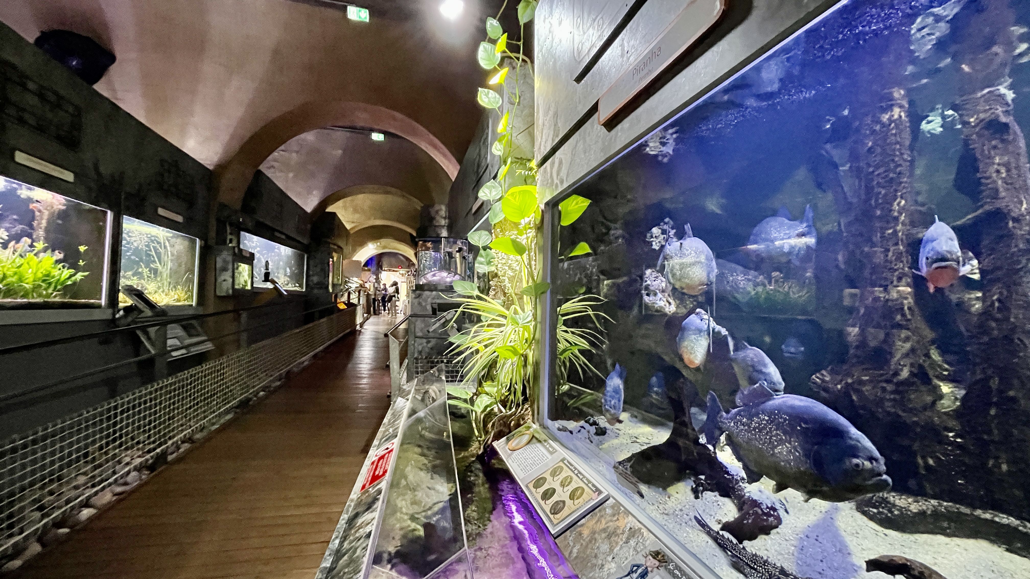 Aquarium du Limousin