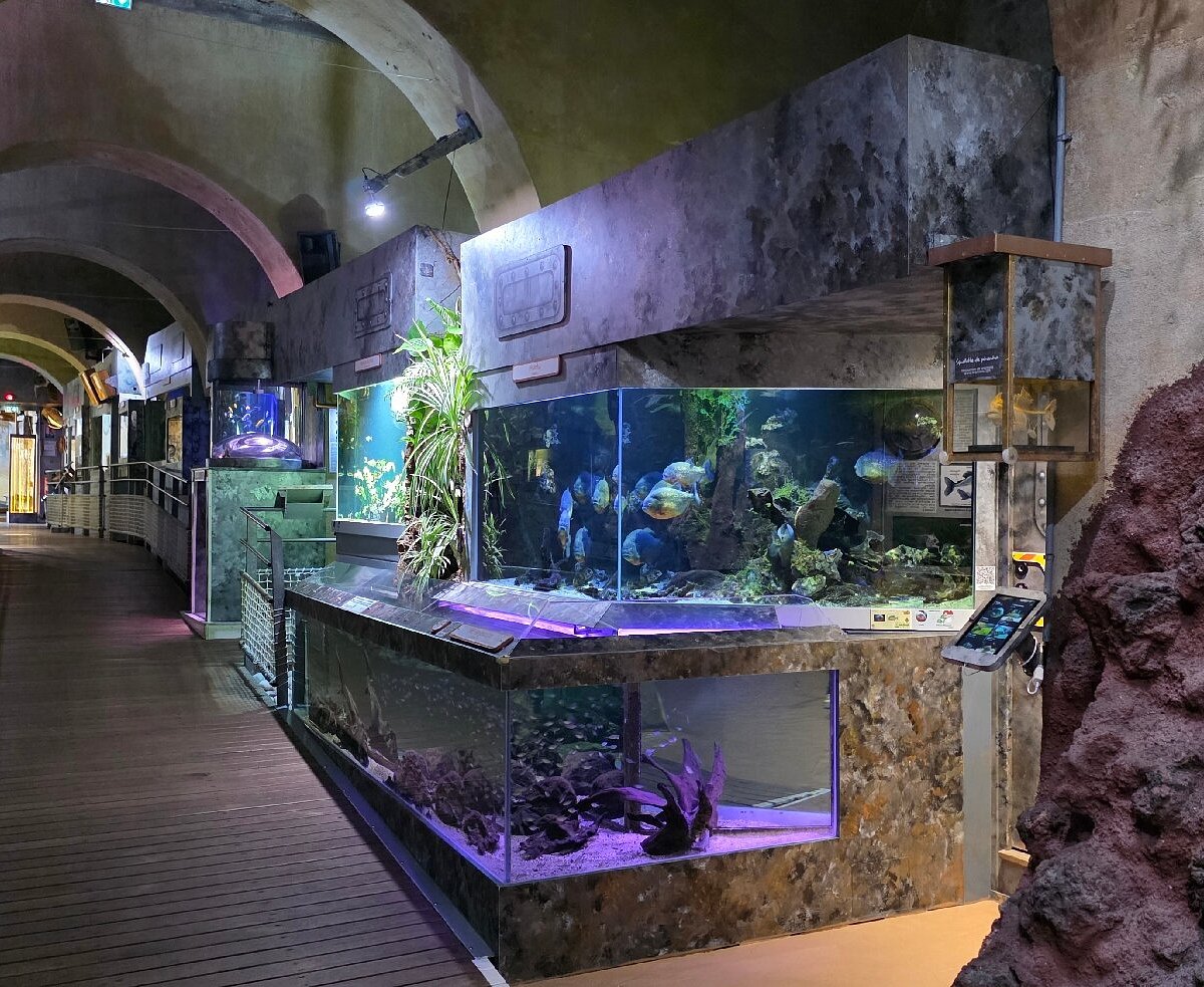 Aquarium du Limousin