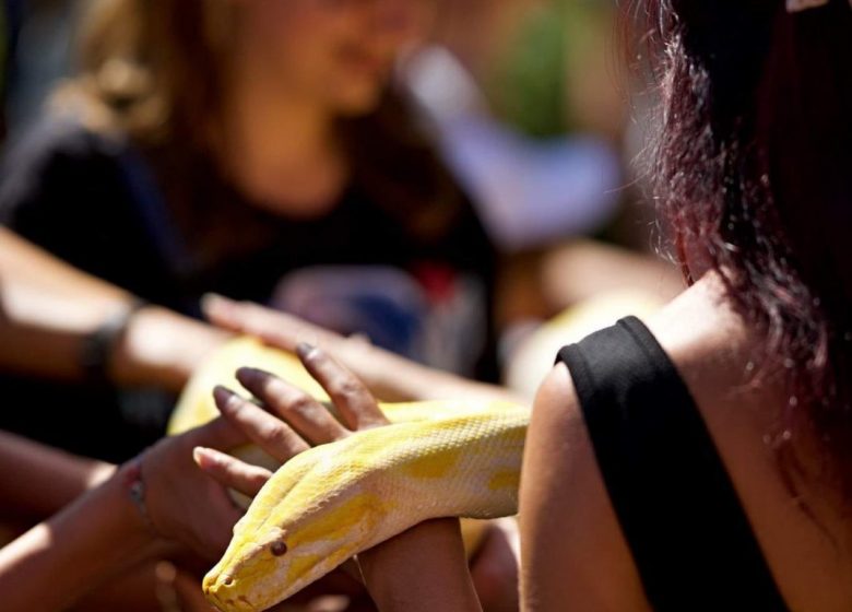 La ferme des reptiles