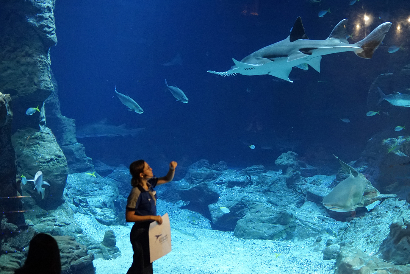 Planet Ocean Montpellier