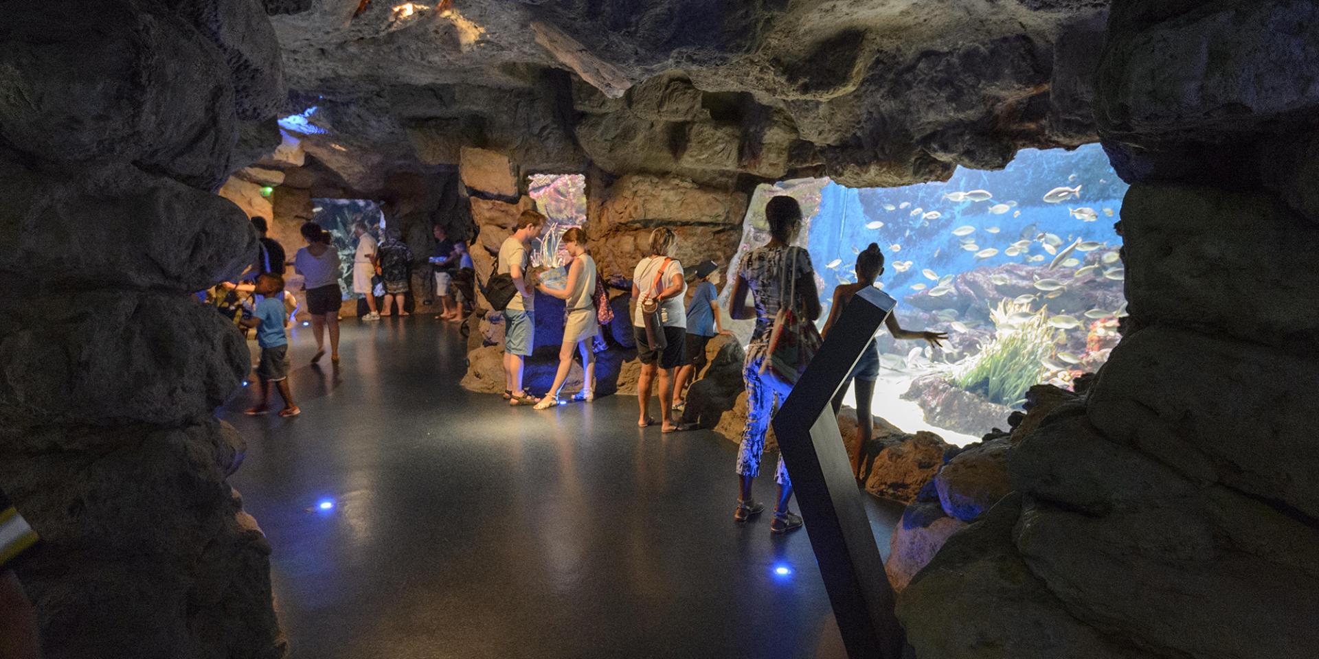 Planet Ocean Montpellier