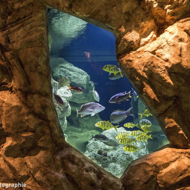 Planet Ocean Montpellier