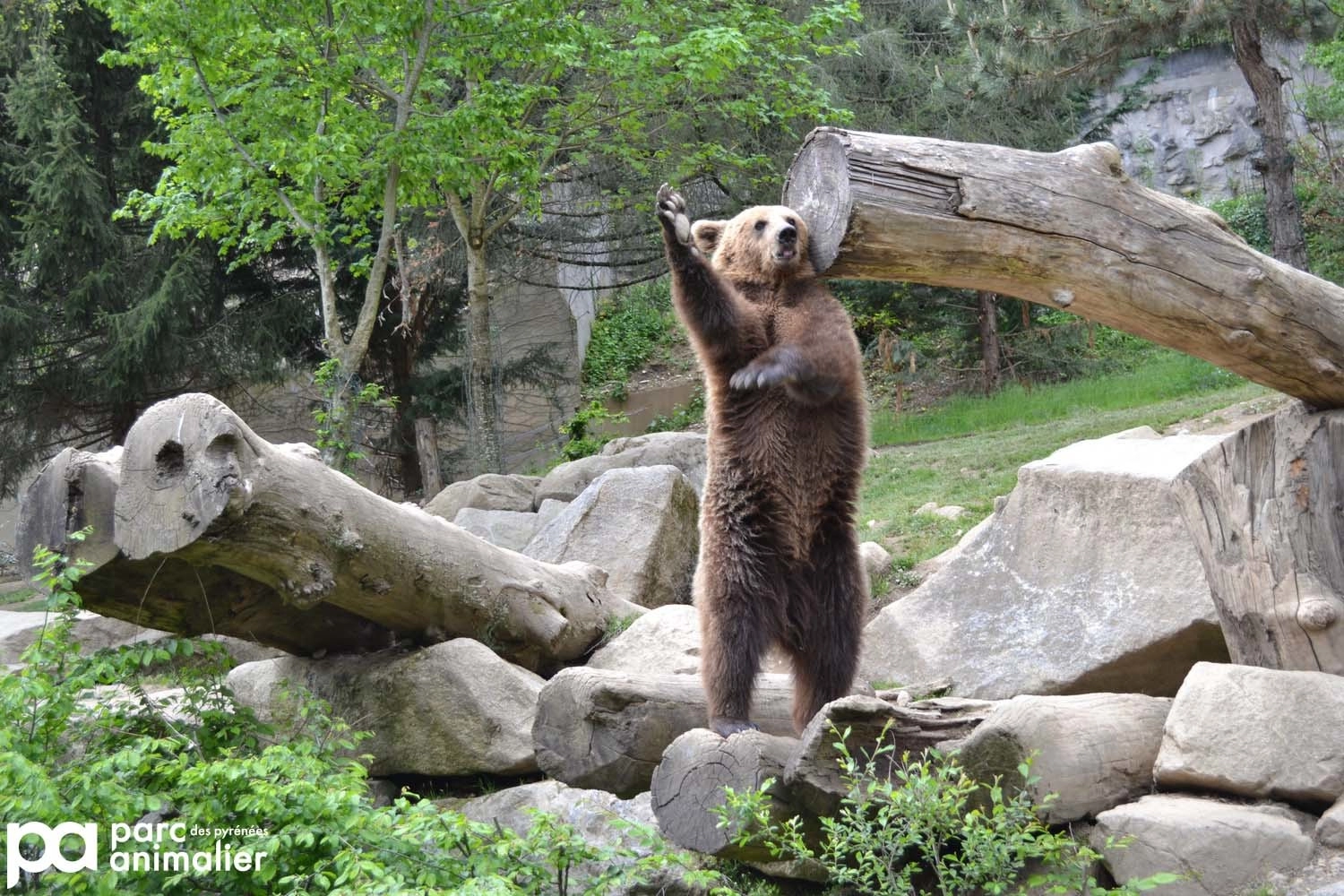 Parc animalier des Pyrénées