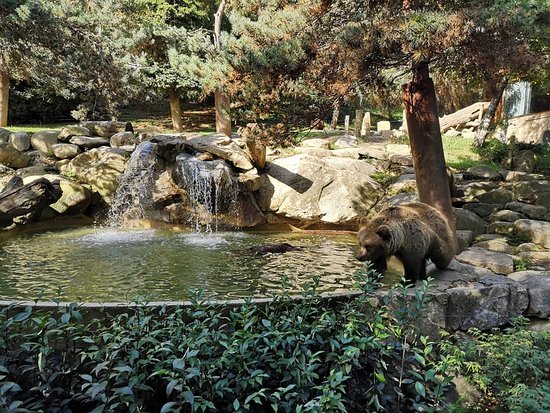 Parc animalier des Pyrénées