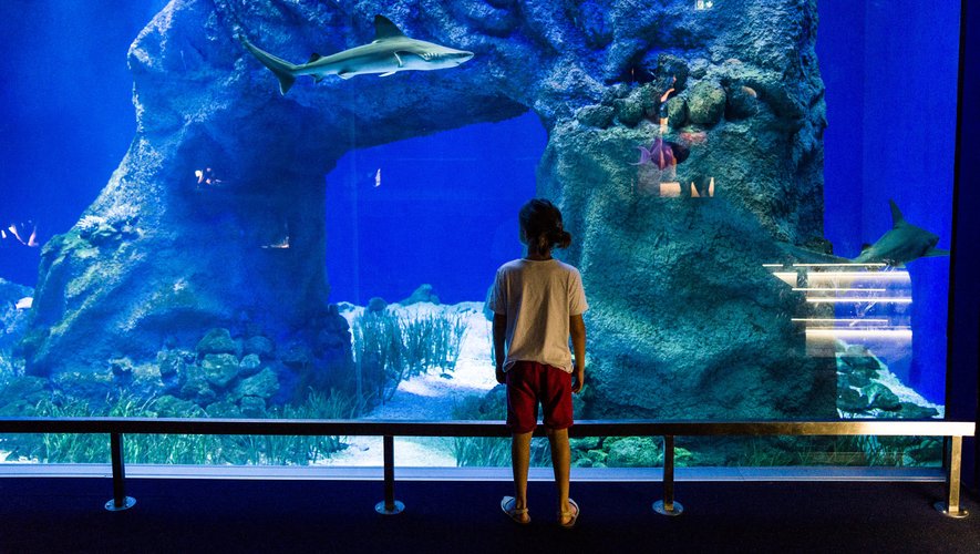 Aquarium de Canet-en-Roussillon (Oniria)