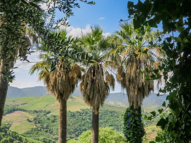 Biodiversarium - aquarium et jardin scientifiques méditerranéens