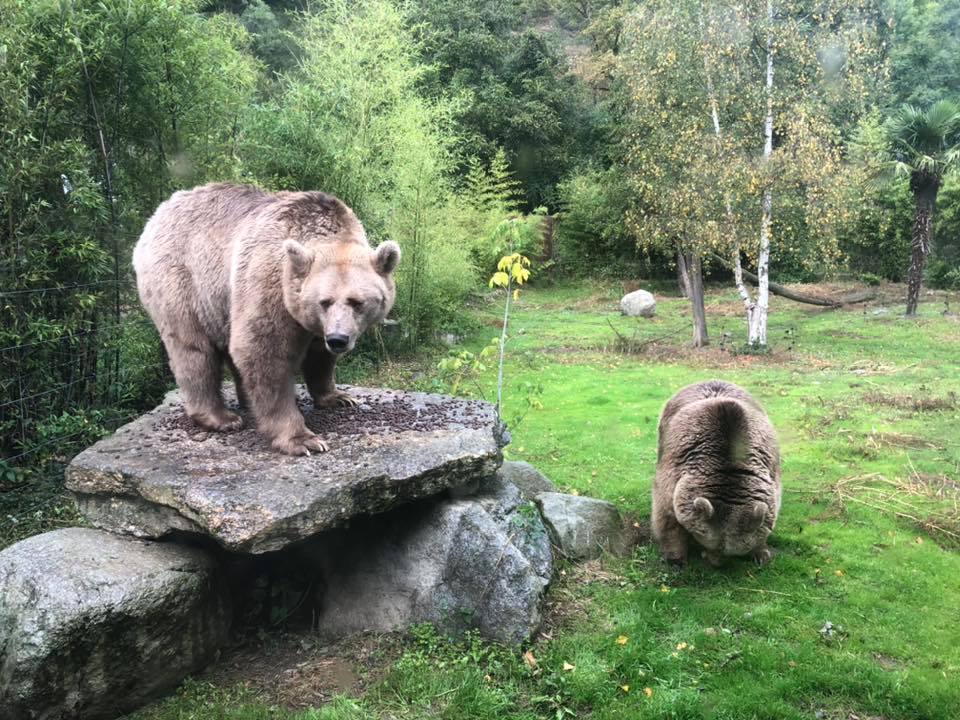 Parc animalier de Casteil