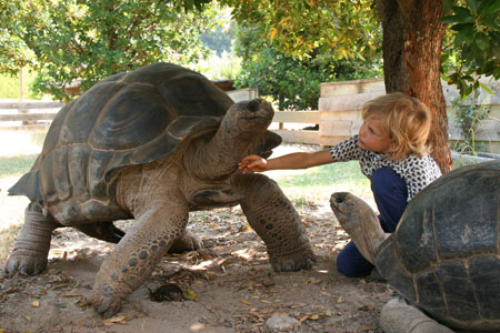 La vallée des tortues