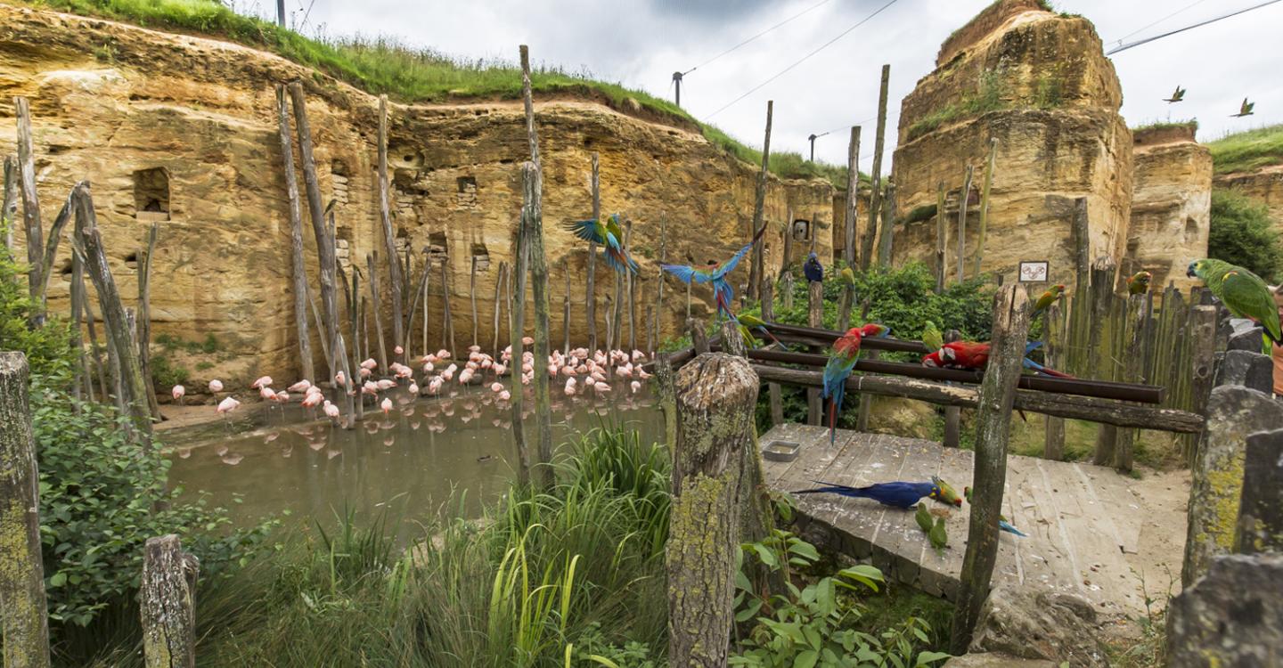 Bioparc de Doué-la-Fontaine
