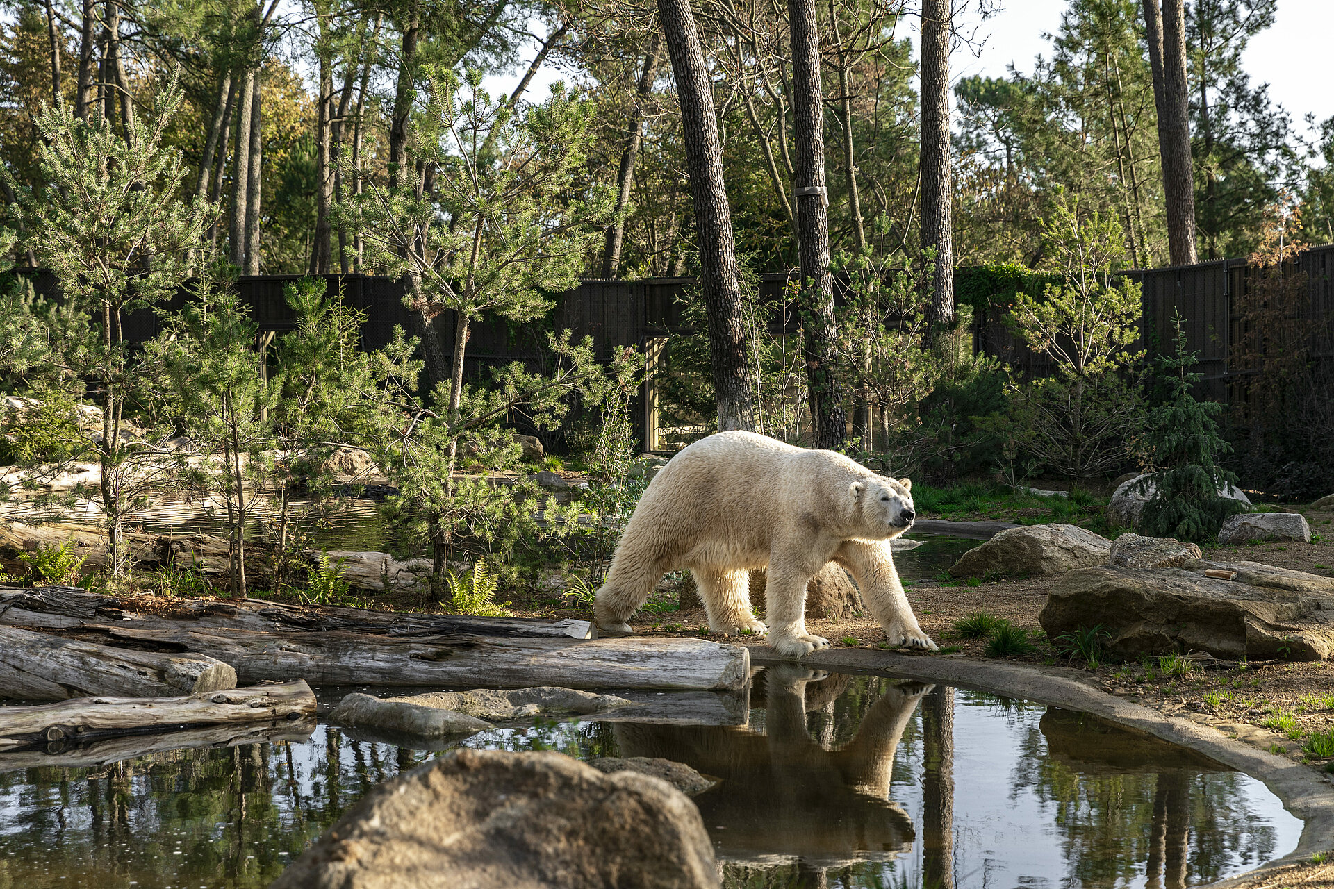Zoo de La Flèche