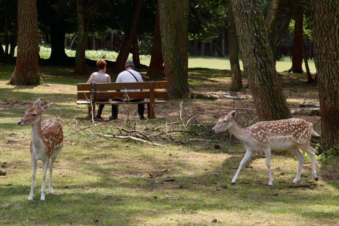 Domaine zoologique de Pescheray