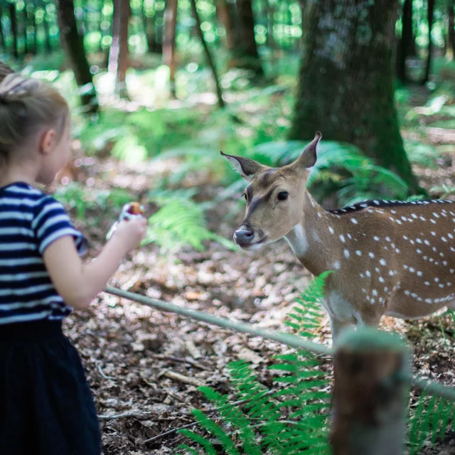 Domaine zoologique de Pescheray