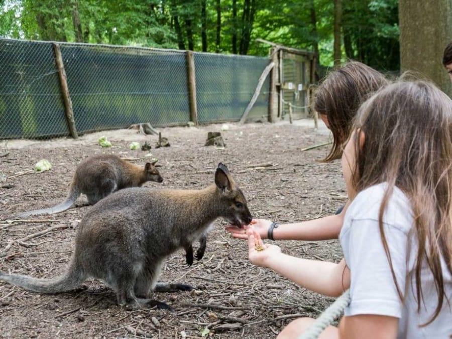 Spaycific'Zoo