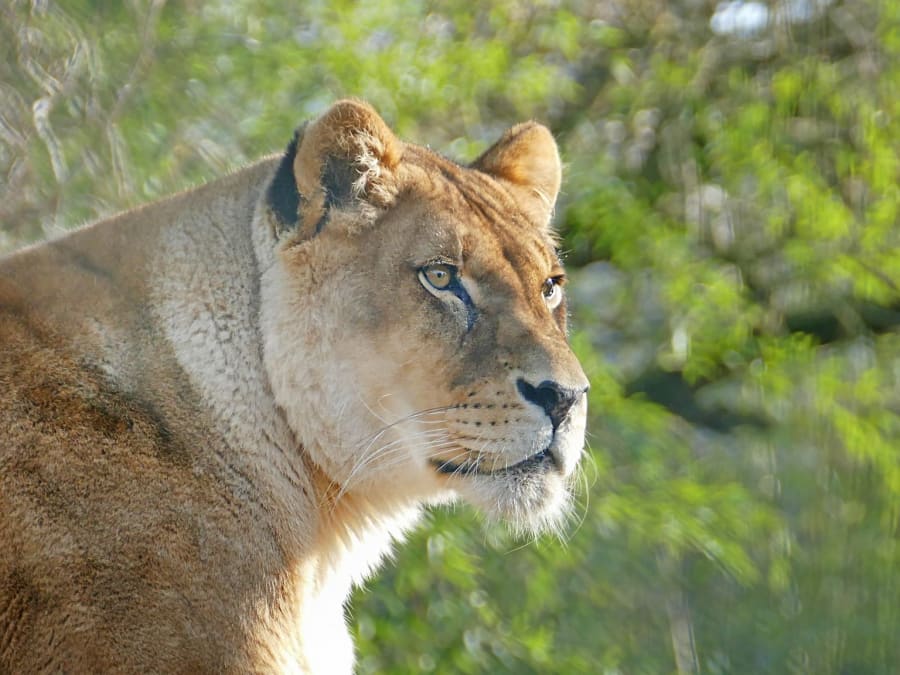 Zoo des Sables-d'Olonne
