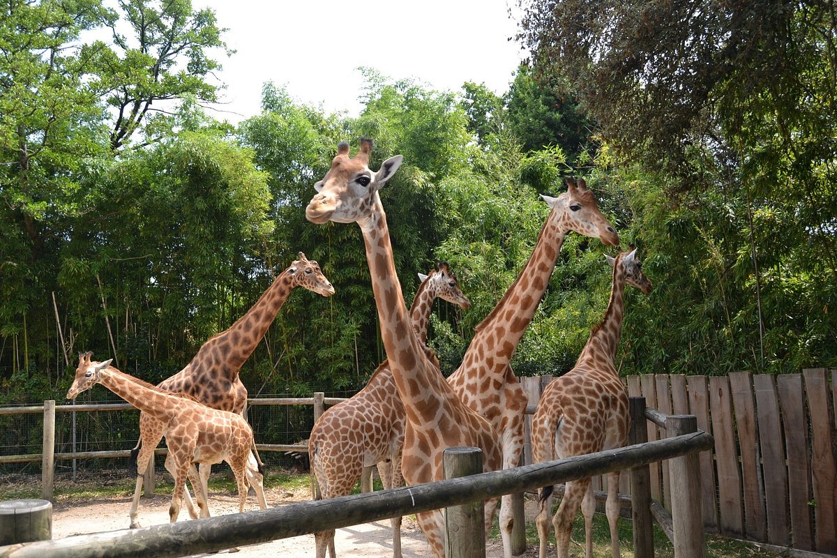 Zoo des Sables-d'Olonne