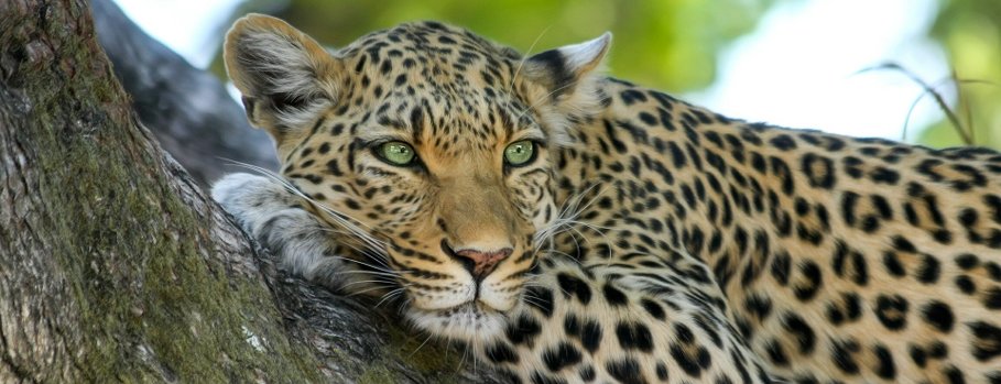 Zoo des Sables-d'Olonne